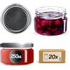 KADAX Piccoli vasetti per conserve da 250 ml, con coperchio, ermetici da regalare, mini barattoli per miele e spezie (20 pezzi, argento)