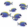 LaoGraphics Adesivi a forma di pesce chirurgo blu, resistenti all'acqua e alle intemperie, 0% di trasparenza, adesivi a forma di pesce tropicale, segni di copertura, decorazione da parete, auto e progetti per la