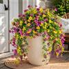 Aisamco 4 Fiori Appesi Esterno UV Resistente | Seta finta, Foglie eucalipto, Fioriera esterna, Portico patio balcone, Vigne appese