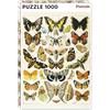 Piatnik 1000 pezzi puzzle Millot - Butterflies and Moths