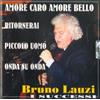 Lauzi Bruno I Successi (CD)