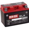 BS BATTERY 300638-1 BTZ14S SLA SYM GTS 300 I EVO JOYMAX 2009