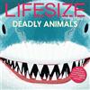 Sophy Henn Lifesize Deadly Animals (Tascabile)
