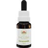 Australian Bush Flower Essences Jacaranda 15ml