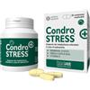 Innovet Italia Srl Condrostress + Supporto Del Metabolismo Articolare In Caso Di Osteoartrite Dei Cani 60 Compresse Masticabili