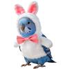 Generic Abbigliamento per Pappagalli Costume Antivento Per Animali Domestici Con | Costume Regolabile per Uccelli Per Canarini Parrocchetto Cenerini Cocorite Calopsite Inverno Pasqua
