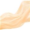 FORBELL Tulle in organza morbida, 160 cm x 3 m/5 m/10 m, tessuto decorativo a rete trasparente, per cucito, matrimoni, feste, archi, abiti, gonna in tulle, veli e decorazioni fai da te (champagne scuro, 160