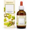 Erbamea Tilia Tomentosa Gemme - Gemmoderivato in gocce per il rilassamento e l'insonnia, 50 ml