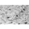 d-c-fix pellicola per finestra Botanicals 45 cm x 2 m | pellicola oscurante autoadesiva con motivo moderno per superfici in vetro - autoadesiva, opaca, decorativa