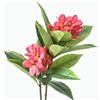 XIYUAN Fiori artificiali di frangipani, 90 cm, 2 steli, realistici al tatto, fiori di plumeria artificiali per casa, feste, matrimoni, bouquet per la casa (rosso)