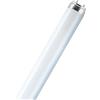 Osram,Osram L 18 Watt Lampada fluorescente 840 25 Pezzi