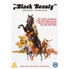 Mediumrare Black Beauty (DVD)