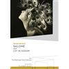Flicker Alley and the Blackhawk Films Co Oscar Wilde's Salome with Lot in Sodom (DVD) Arthur Jasmine Rose Dione