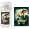 Grupo Erik Harry Potter Puzzle 500 Pezzi La Camera dei Segreti | Idea Regalo Fans, Gioco da Tavolo per Adulti, Poster Incluso, HP Gadget, Immagine Iconica
