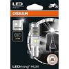 OSRAM LEDriving HLM T19 (M5) - no ECE, LED Lampada da moto, Bianco 6000K, LED Retrofit, solo uso offroad (1 lampada)