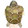 Uanqfegy Cuscino Gigante indossabile con Guscio di Tartaruga 60 cm - Costume da Tartaruga Marina in Morbido Peluche per Bambini e Adulti, Divertente Spettacolo di Scena