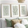 Uixxducc Set di 3 poster premium, moderne piante a salvia verde astratte, arte astratta per la decorazione Boho, quadri da parete per soggiorno e camera da letto - senza cornice (40x50 cm)