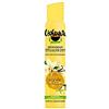 Ushuaia Ushuaïa - Deodorante da donna spray, fragranza: fiore di vaniglia della Polinesia, rilassante, 200 ml