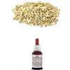 Il Regno Vegetale Olio essenziale 100% Puro FINOCCHIO Naturale Uso Interno/Esterno (10 ml)