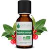 VOSHUILES.COM HUILES ESSENTIELLES & VEGE VOSHUILES - Olio Essenziale di Gaultheria Bio - 10ml | Qualità Superiore - 100% Puro e Naturale - HEBBD e Certificato Ecocert