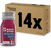 Kloster Kitchen Organic Vitamin Shot Berry Acai 1SHOT 14x 30 ml con veri pezzi di zenzero I Ginger Shot vegan nella bottiglia di vetro To Go I dolce e piccante senza additivi e con dolcezza naturale