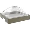 Pinti inox Vassoio Refrigerato Affettati per Buffet con Base Bassa 2/3 - Salvia, Carbone, Burro o Caffè