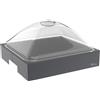 Pinti inox Vassoio Tagliere Formaggi per Buffet con Base Bassa 2/3 - Salvia, Carbone, Burro o Caffè