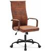 BAKAJI Sedia da Ufficio Ergonomica in ecopelle con Schienale Alto e Supporto Lombare, Poltrona da Scrivania Girevole, Altezza Regolabile a Gas e Rotelle Girevoli 360° Base 64.5 cm Cromata (Industrial)