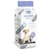 Record Assorbipiù Traverse Cani Carboni Attivi Usa e Getta, 60x60cm, 40 pz | Extra assorbenza. Tappetini igienici per Cani, Monouso, Antistrappo e Antiodore. Cani Taglia Media