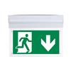 V-TAC Lampada LED di Emergenza SA/SE 2W CREE Plafone/Parete Autonomia 3h 6000K IP20 - SKU 836-6