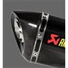 AKRAPOVIC V-EC348 TAPPO TERMINALE KAWASAKI Z 900 ABS 2019