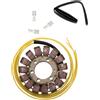 Rick's Motorsport Electric 21-153 STATORE STILE OEM HONDA CBR 1000 RR FIREBLADE 2009