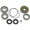 EPI WE290140 KIT GUARNIZIONI DIFFERENZIALE CAN AM DEFENDER HD10 6X6 DPS 2020