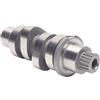 Andrews 217520 ALBERO A CAMME HARLEY FLSTFI 1923 ABS SOFTAIL FAT BOY GRAY GHOST 117 2025