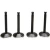 Kibblewhite 20-22100 KIT VALVOLE MOTORE BLACK DIAMOND™ HARLEY FL 1200 HYDRA GLIDE 1950