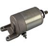 Rick's Motorsport Electric 61-717 MOTORINO DI AVVIAMENTO PIAGGIO BEVERLY 250 I.E. CRUISER 2007