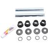 Pivot Works PWAAK-K07-000U BEARING A-ARM KAWASAKI KRF 750 I 4X4 TERYX LE APG HD 2010