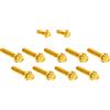 ARLEN NESS 300-934 BOLT KIT TITANIUM - FLT 17-23 CAM COVER GOLD PUNTO