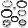 All Balls 25-2051 KIT CUSCINETTI E PARAOLI DIFFERENZIALE ANT. ARCTIC CAT 700 DIESEL 2014