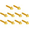 ARLEN NESS 300-988 BOLT KIT TITANIUM - TC 00-17 CAM COVER GOLD PUNTO