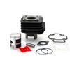 Naraku NK101.01.2 KIT CILINDRO V.2 50 CC RAFFREDDATO AD ARIA PIAGGIO ZIP AC 2T 2011