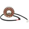 RICK'S MOTORSPORT ELECTRIC 21-009 STATORE DUCATI SPORT 1000 2006