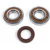 BEARING WORX XCBK60010 KIT CUSCINETTI ALBERO MOTORE E PARAOLI BETA RR 525 2006