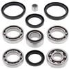 All Balls 25-2050 KIT CUSCINETTI E PARAOLI DIFFERENZIALE POST. ARCTIC CAT 700 DIESEL 2013