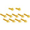 ARLEN NESS 300-982 BOLT KIT TITANIUM - M8 24-25 CAM COVER GOLD PUNTO