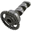 Hot Cams 4054-2IN CAM YZ/WR250F IN STG 2 YAMAHA YZ 250 F 50TH ANN. LIMITED EDITION 2006