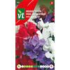 Arborix Sweet pea Royal mixed colours Seeds - Rampicante a fiore molto gradevolmente profumato