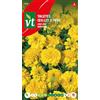 Arborix Semi di garofano nano giallo - Fioritura continua fino al gelo