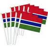 Petite Pine 25 bandiere portatili Gambia, bandiere tenute in mano con decorazione del Gambia, banner decorativo