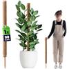 KADAX Monstera - Bastone in fibra di cocco (90 cm), asta di cocco e muschio per piante d'appartamento, rampicante e supporto per piante per interni ed esterni